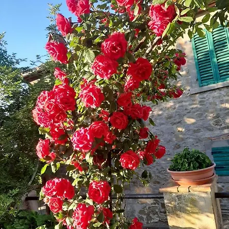 Sunset Valley - A Tuscan Experience Apartamento