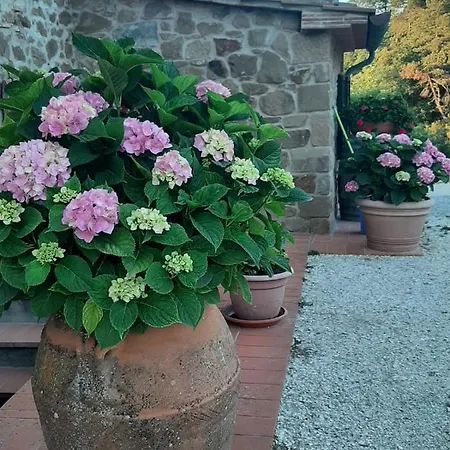 Sunset Valley - A Tuscan Experience *